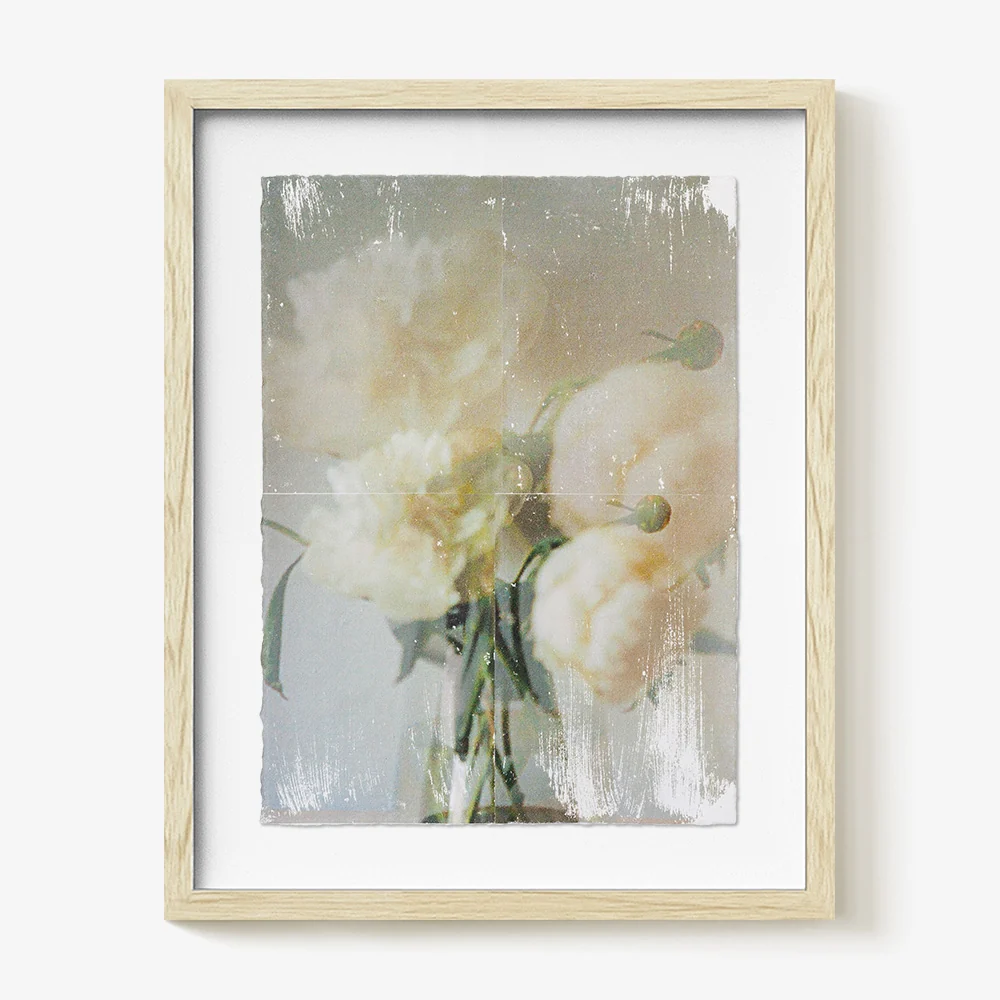 Ranunculus_Study.04 - Image 4