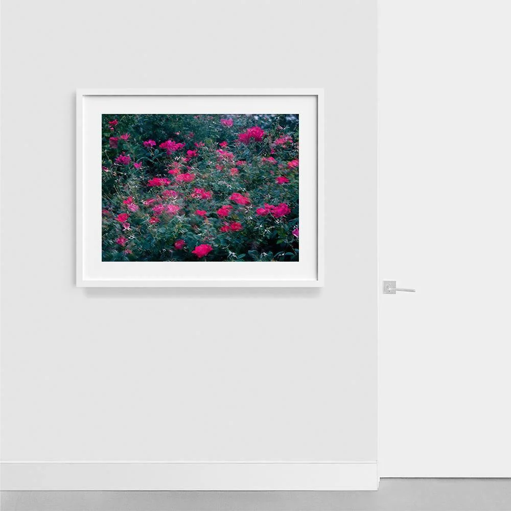 Realized - Image 11