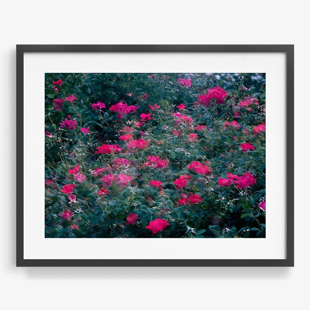 Realized - Image 12