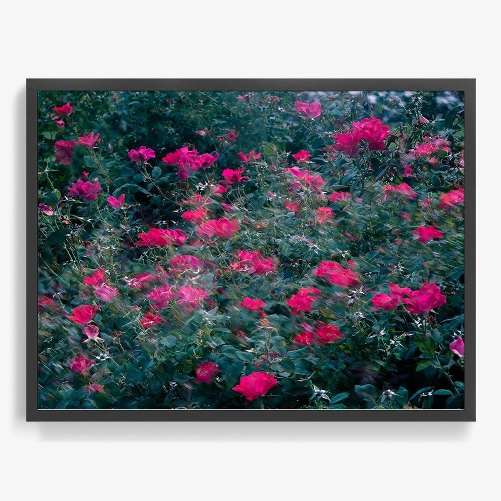 Realized - Image 13
