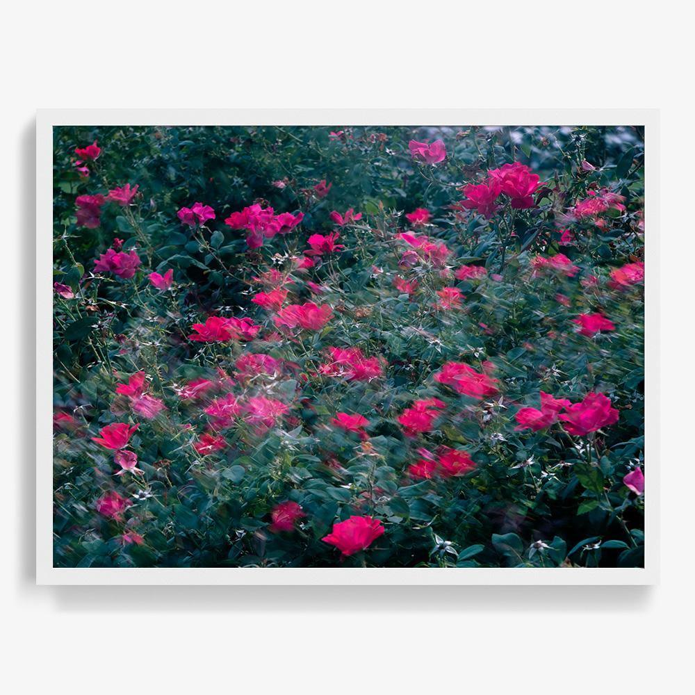 Realized - Image 15