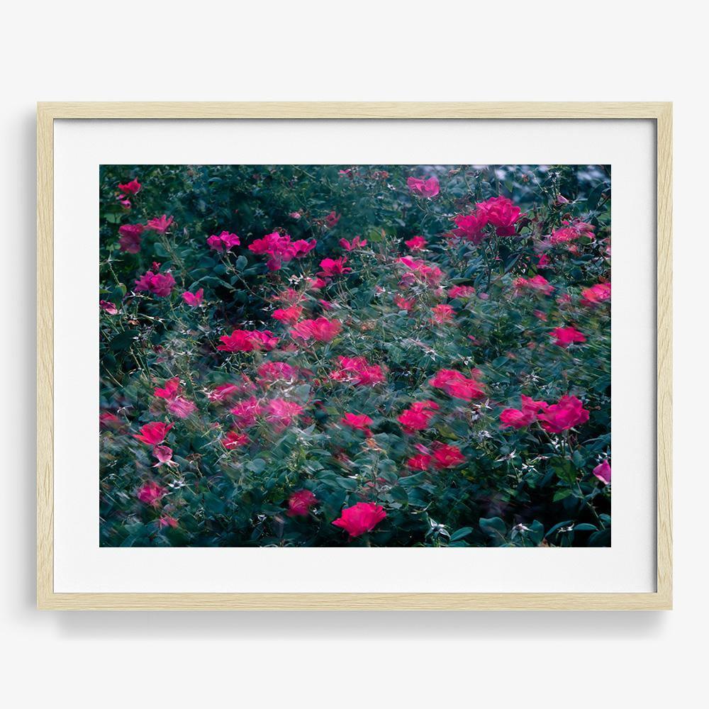Realized - Image 22