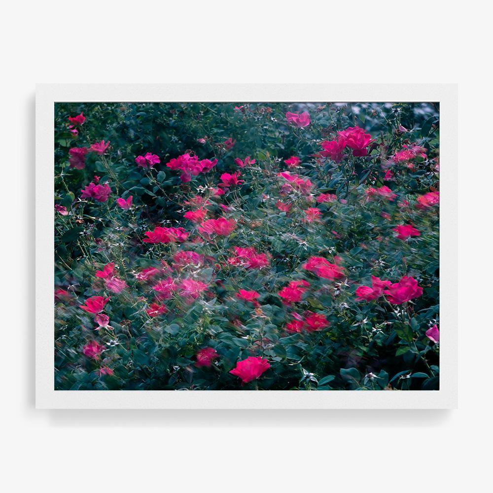 Realized - Image 8