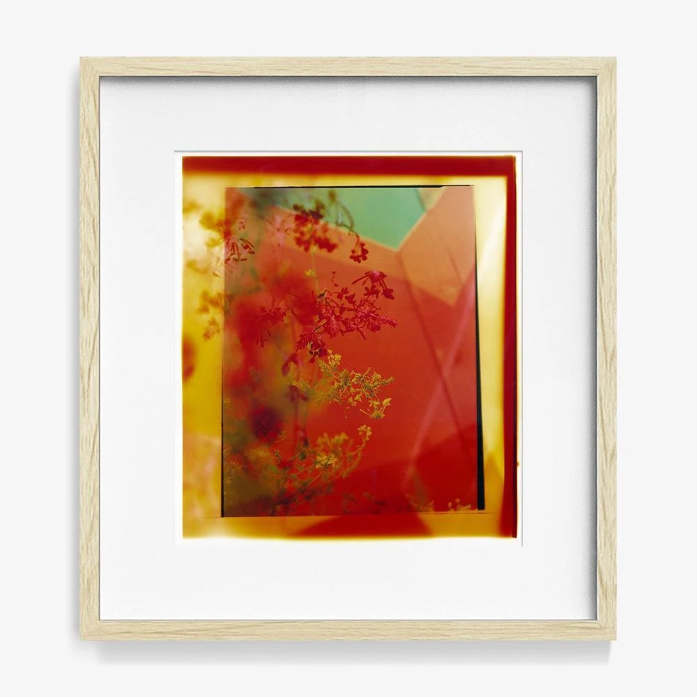 Reflection in Me - Image 10