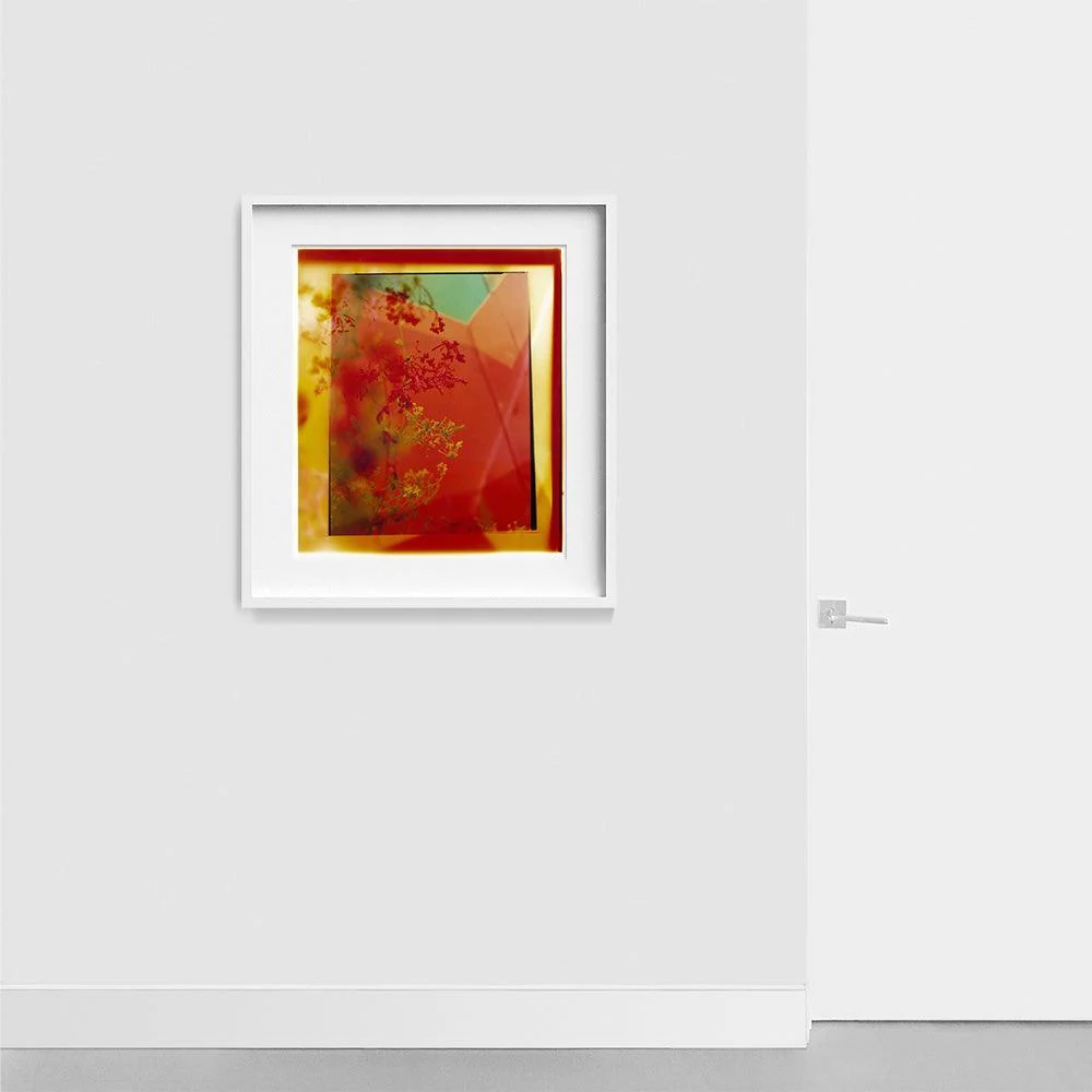 Reflection in Me - Image 11