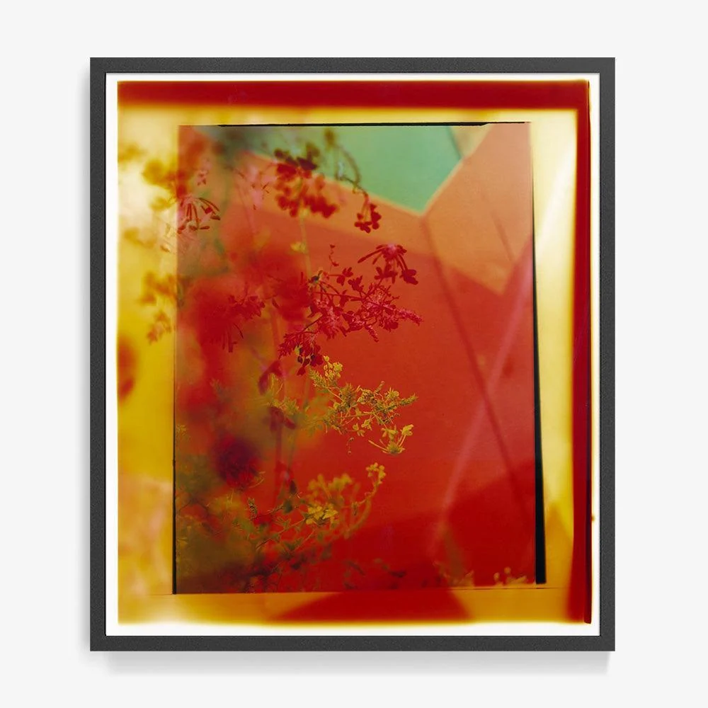 Reflection in Me - Image 13