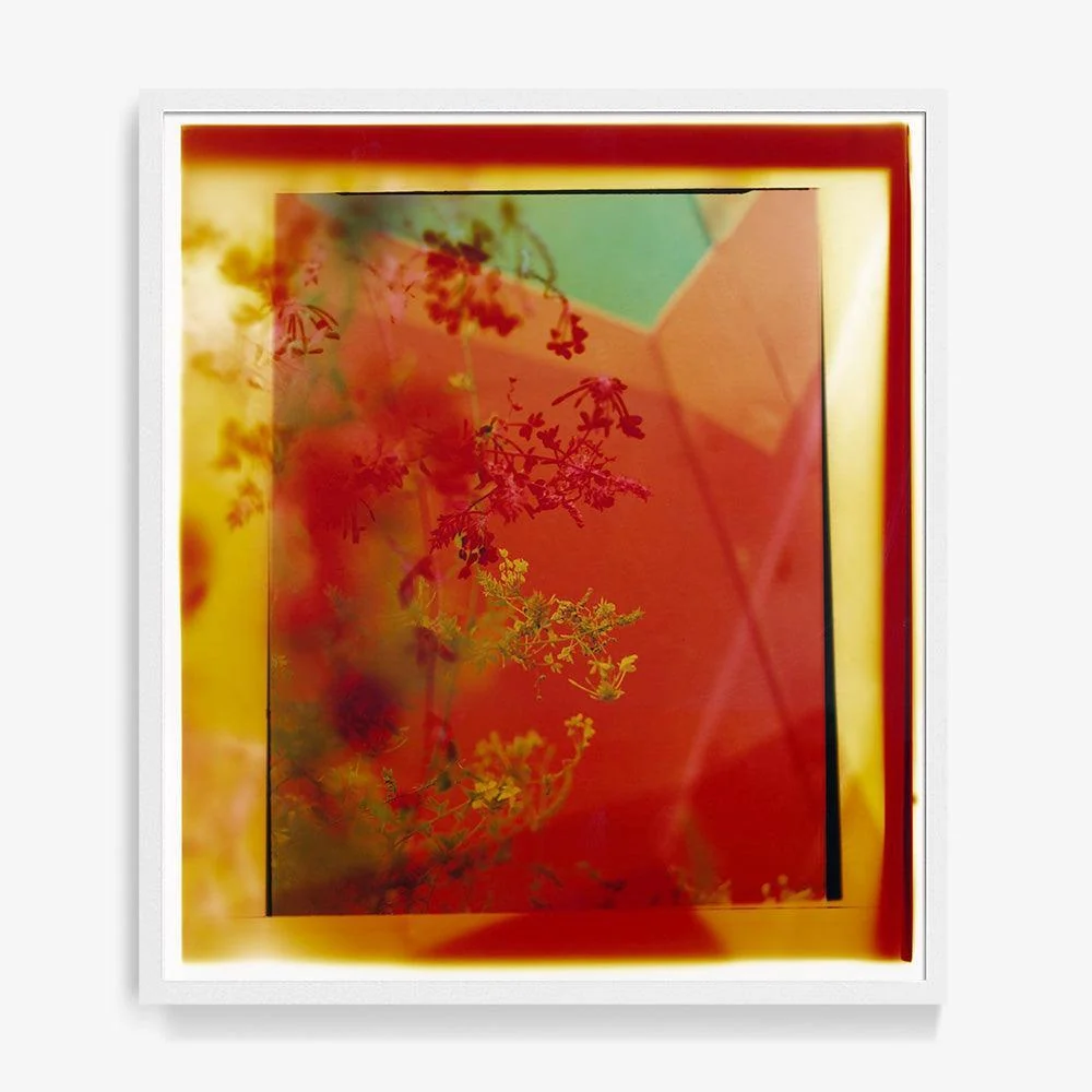 Reflection in Me - Image 15