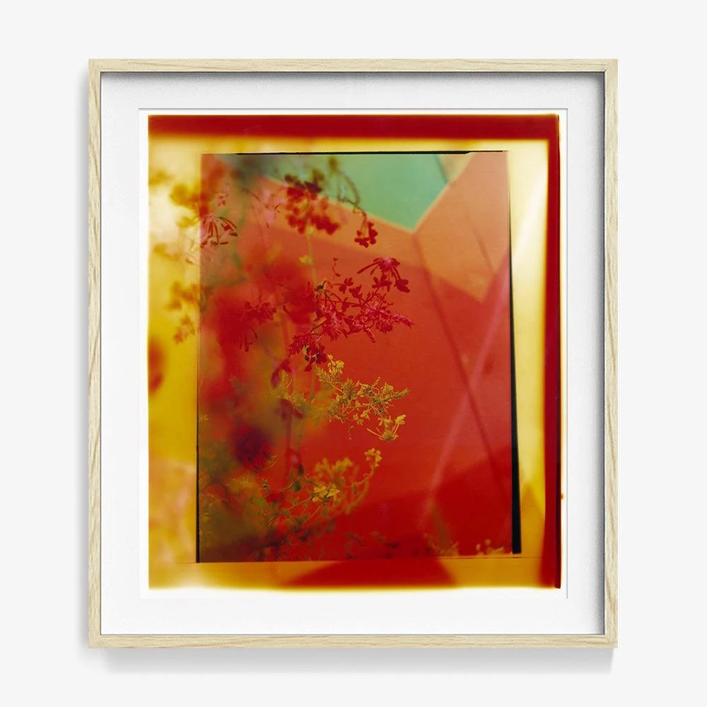 Reflection in Me - Image 22
