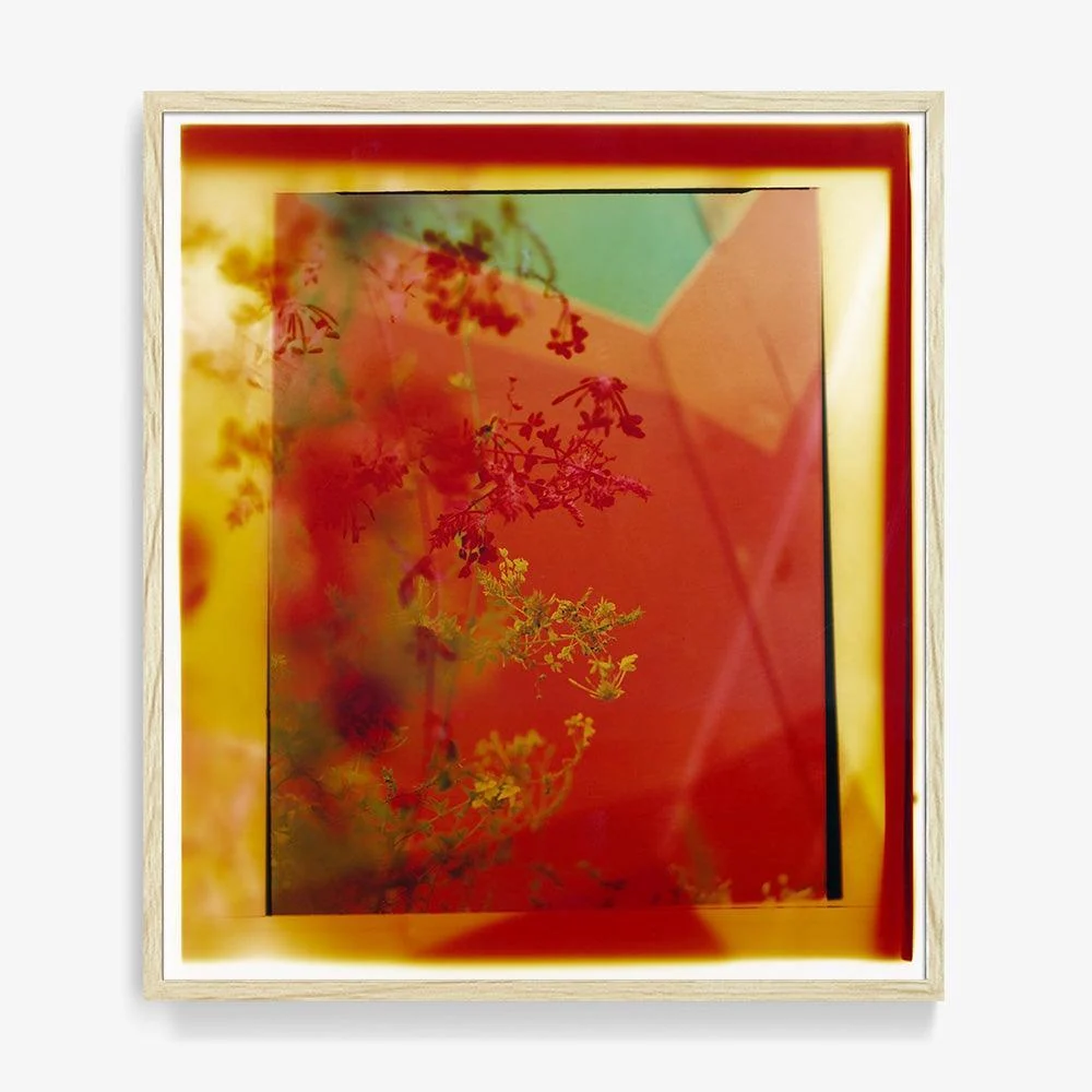 Reflection in Me - Image 23