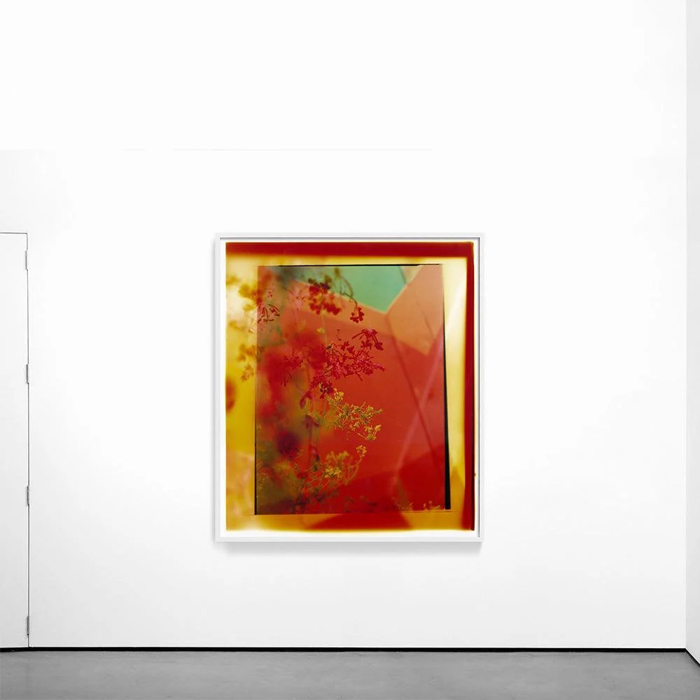 Reflection in Me - Image 24