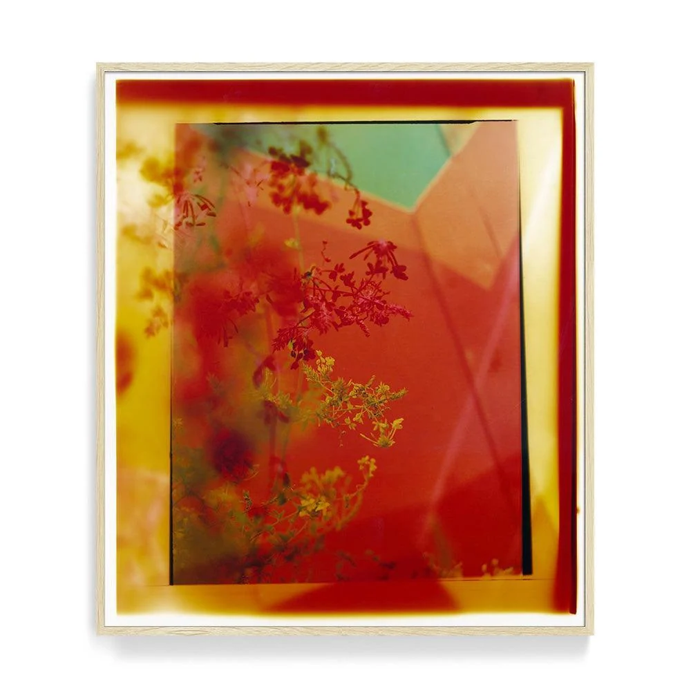 Reflection in Me - Image 27