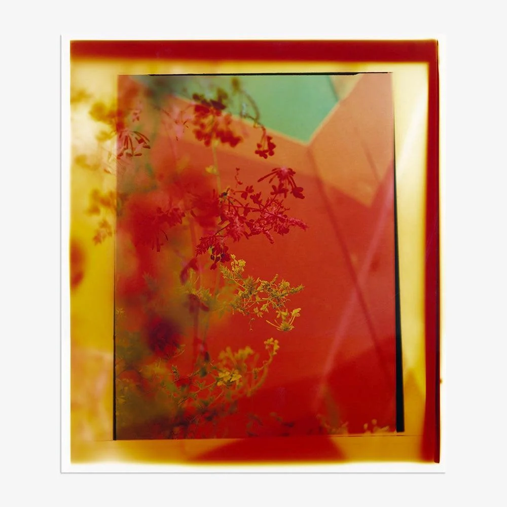 Reflection in Me - Image 4
