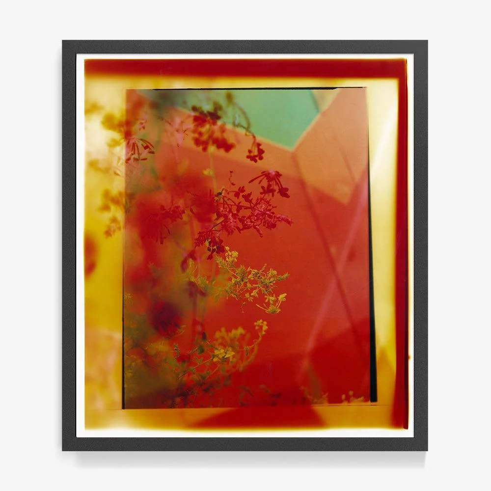 Reflection in Me - Image 7