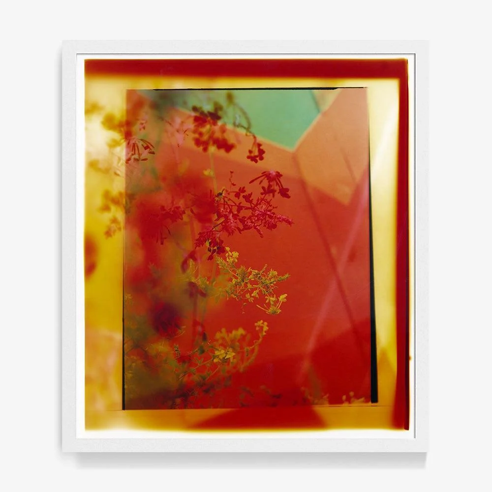Reflection in Me - Image 9