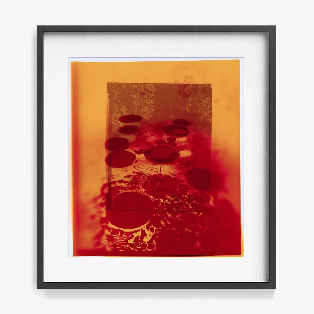 Reflection in Us - Image 12