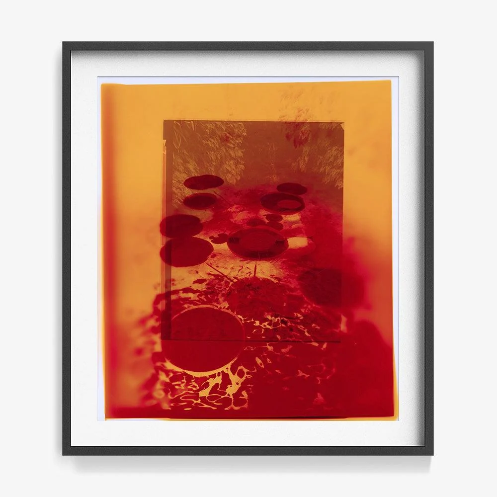 Reflection in Us - Image 19
