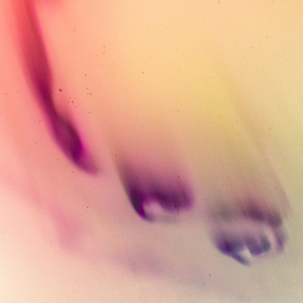 Reverse Plasma Formation 5 - Image 32