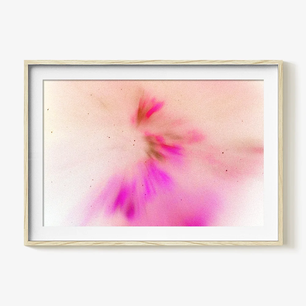 Reverse Plasma Formation 6 - Image 12