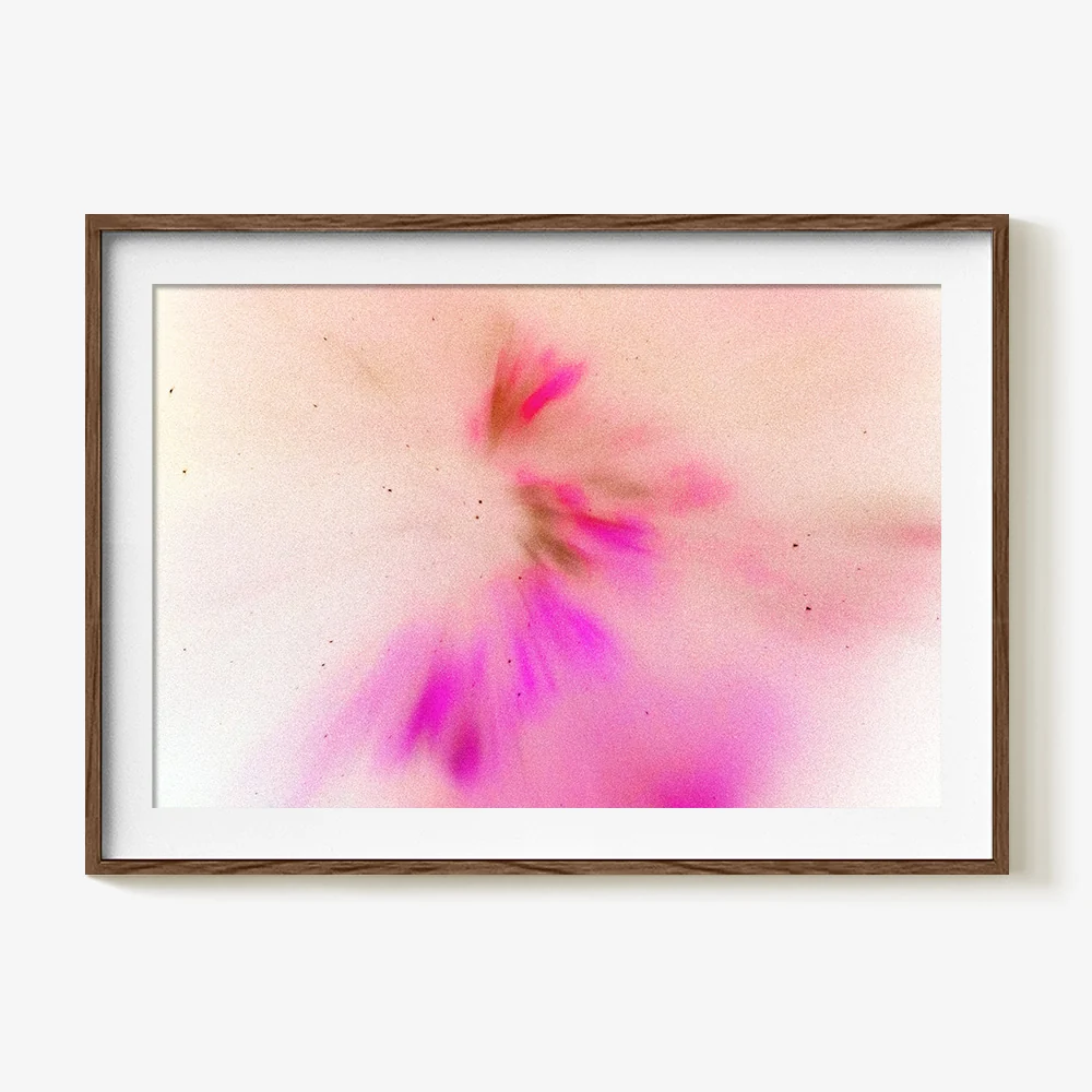 Reverse Plasma Formation 6 - Image 14