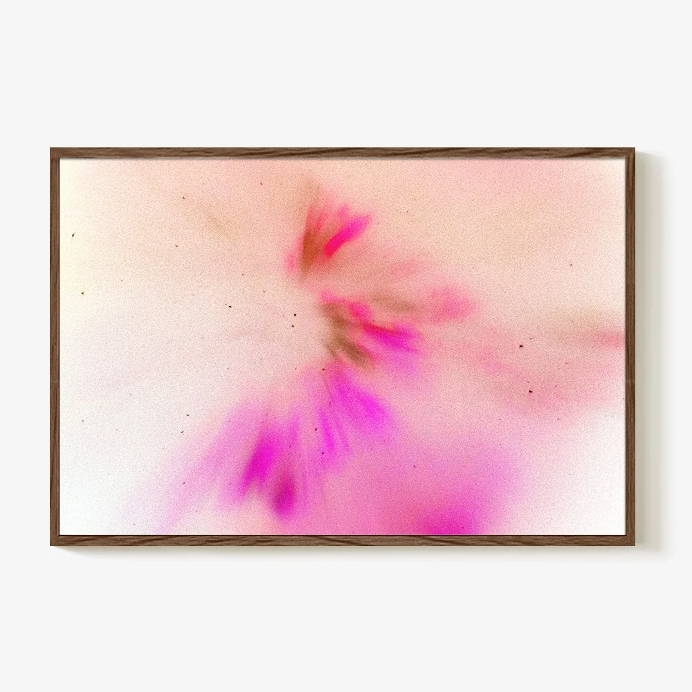 Reverse Plasma Formation 6 - Image 15