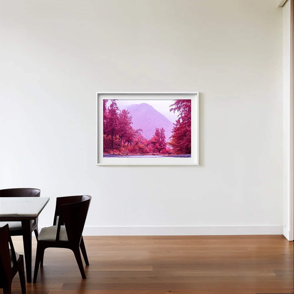 Rosa Mundi 3 - Image 9