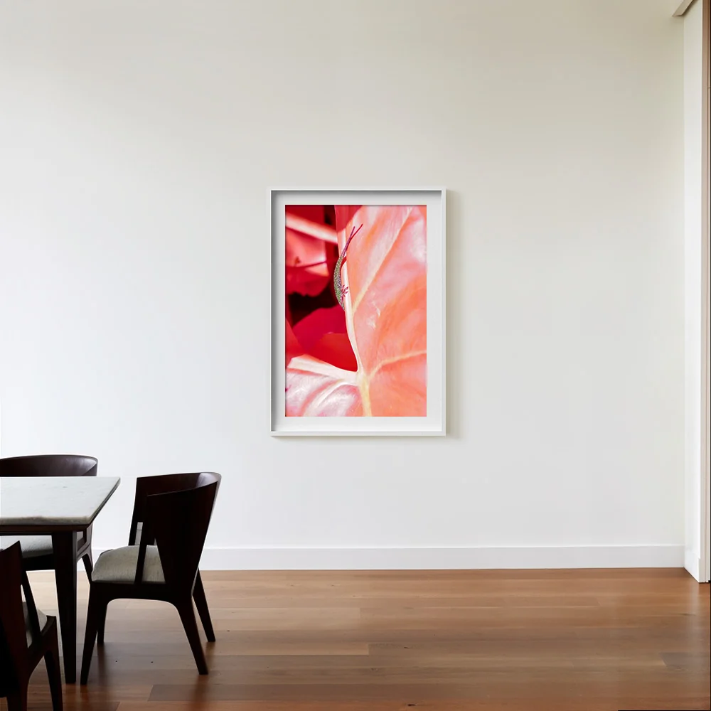 Rosa Mundi 5 - Image 9
