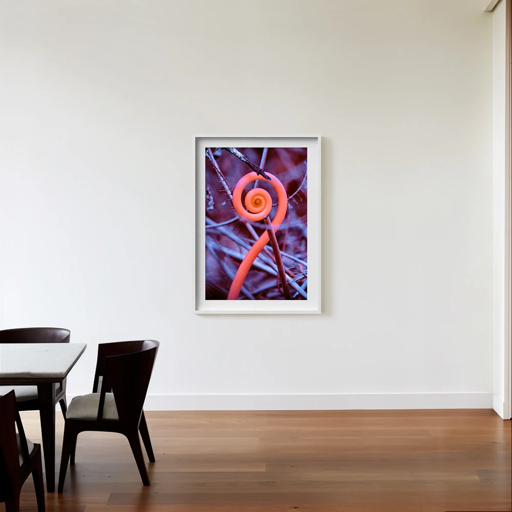 Rosa Mundi 9 - Image 9