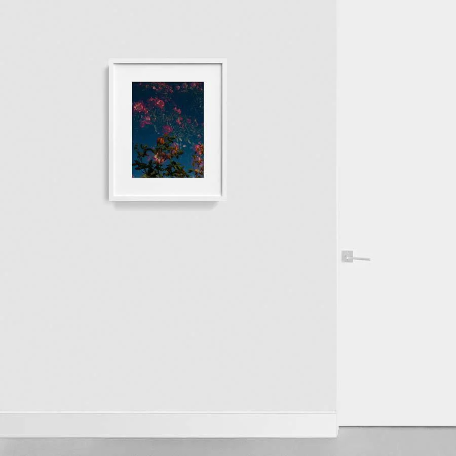 Rose Garden - Image 2