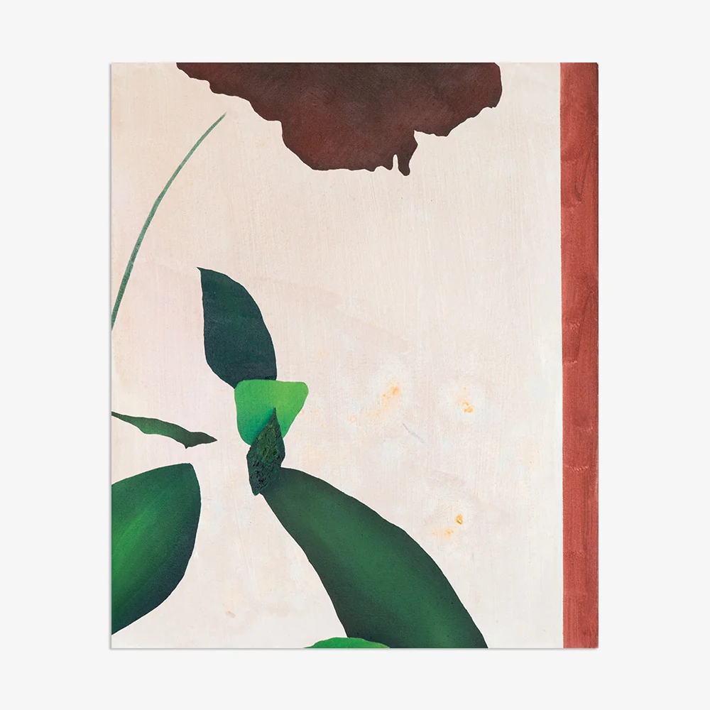 rose reflected - Image 7