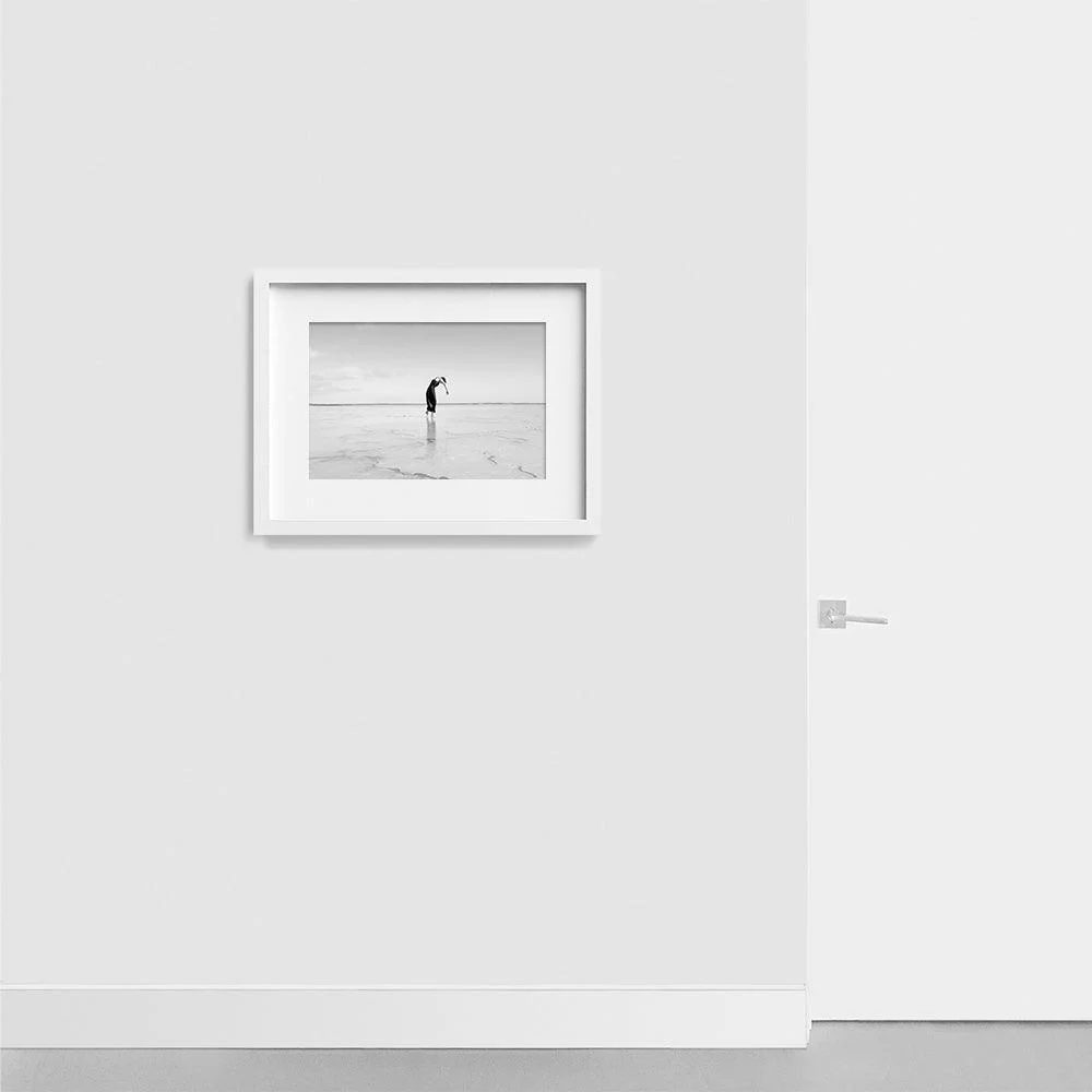 Salt II - Image 5