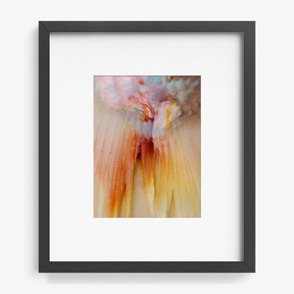 Scales / Me - Image 23