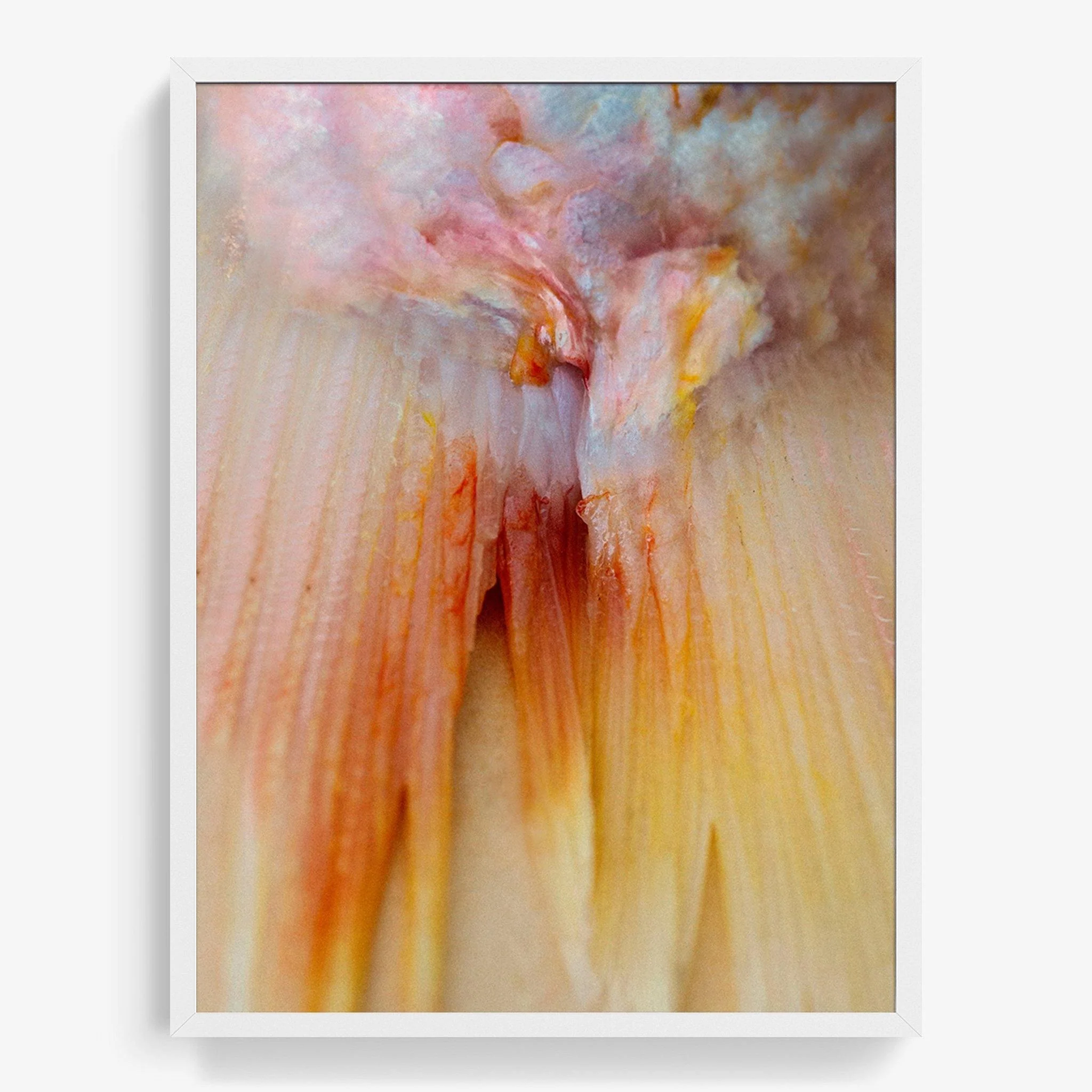 Scales / Me - Image 4