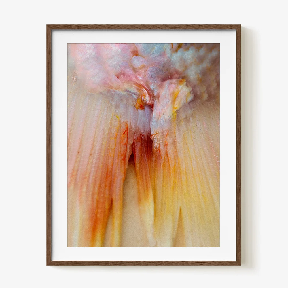 Scales / Me - Image 7