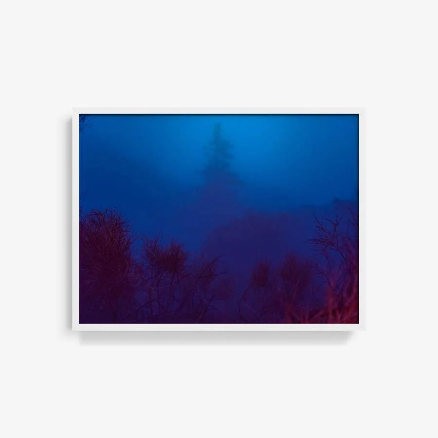 Self Discovery - Image 14
