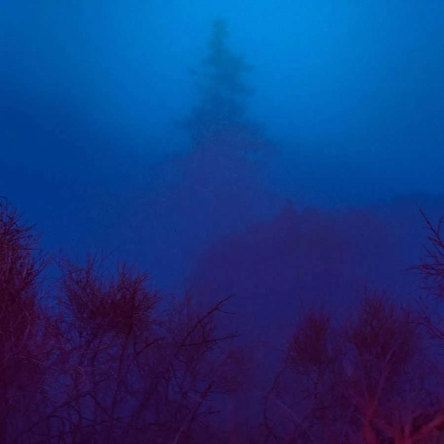 Self Discovery - Image 2