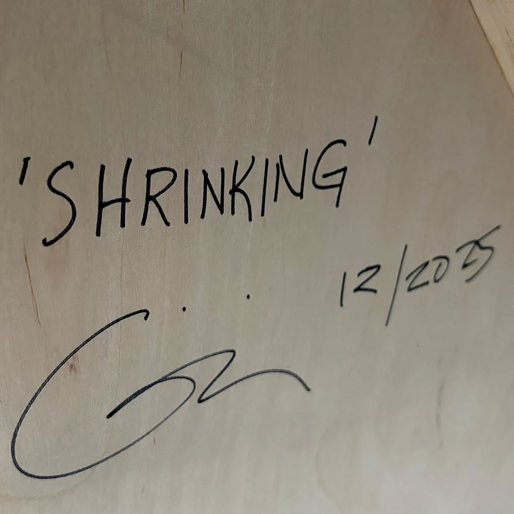Shrinking - Image 4
