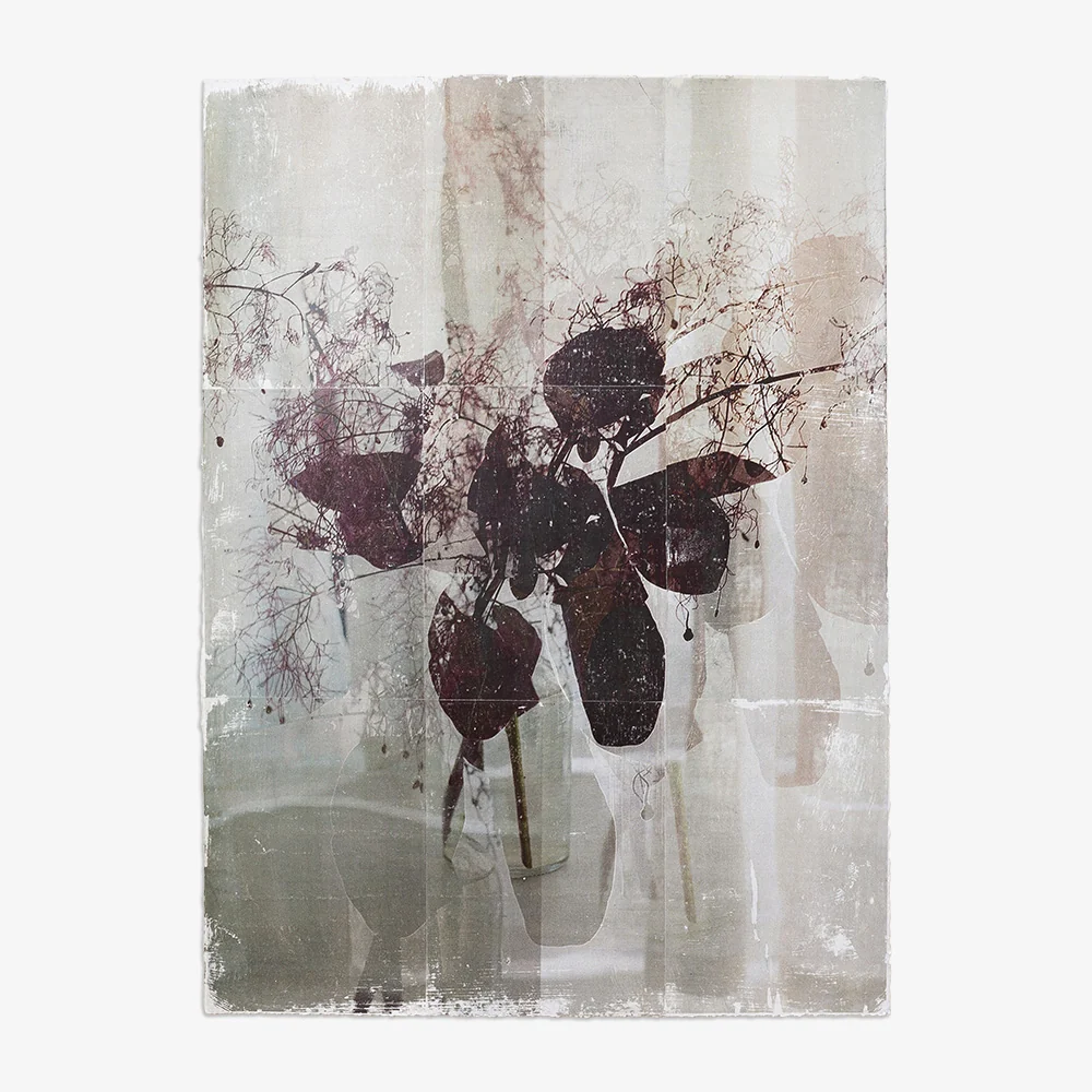 Smokebush_Study. 01 - Image 4