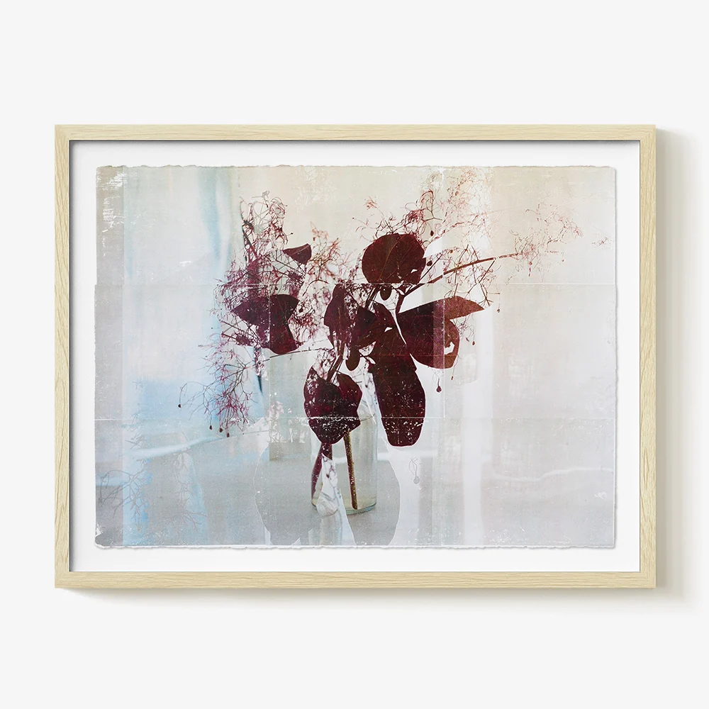 Smokebush_Study.02 - Image 4