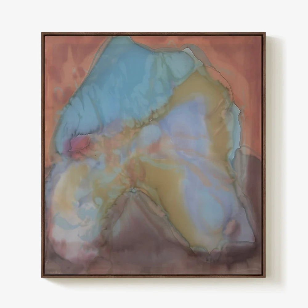 Soft Shield - Image 5