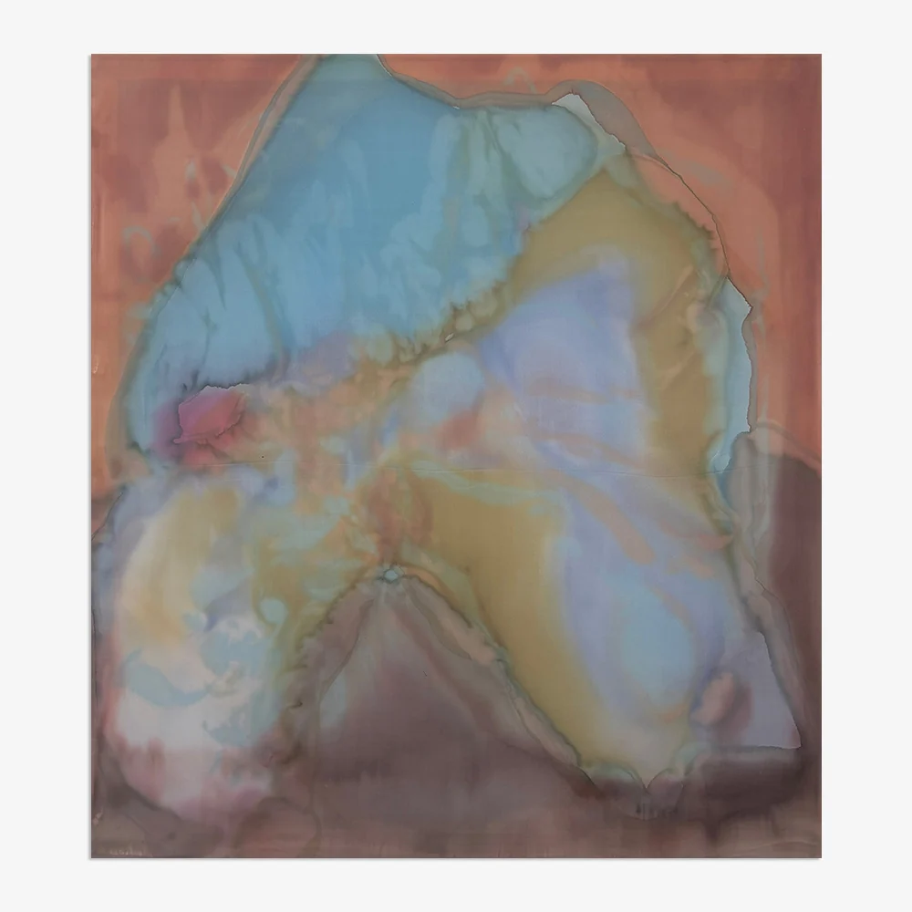 Soft Shield - Image 6
