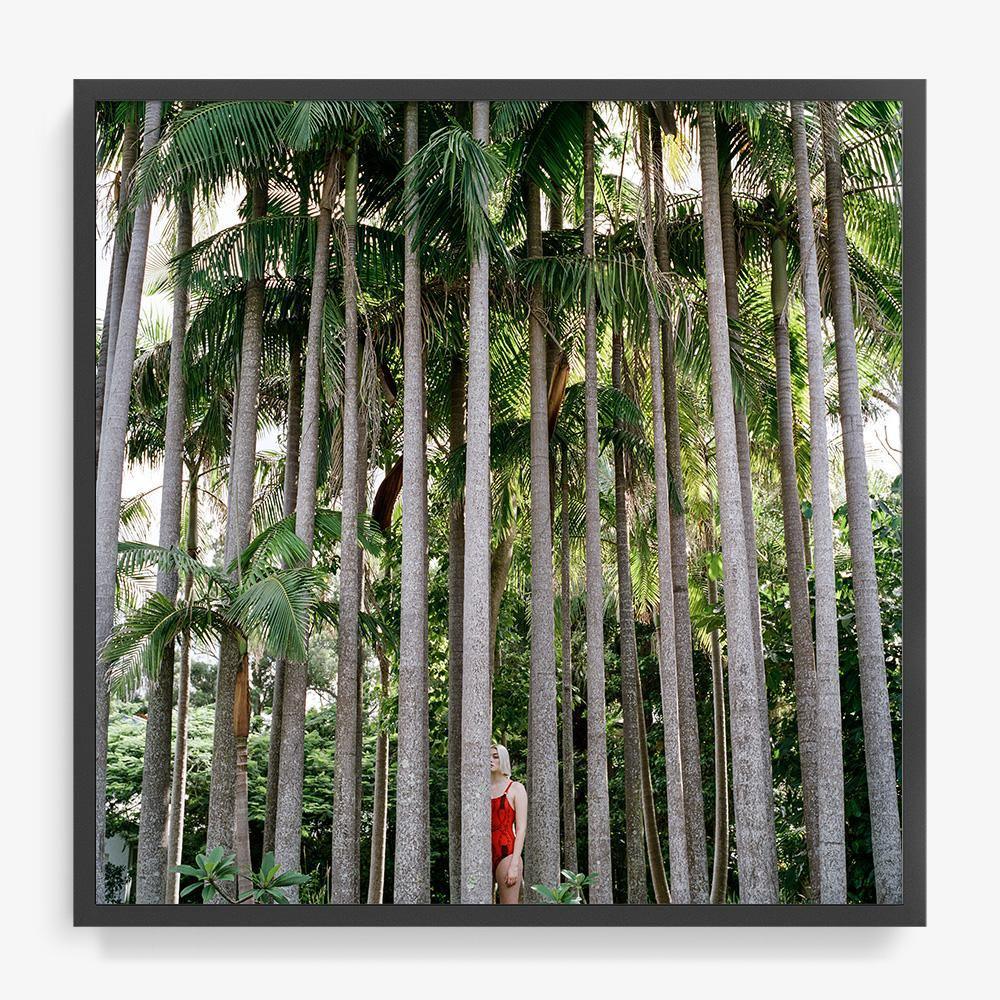 Sois Belle 2.65 - Image 18