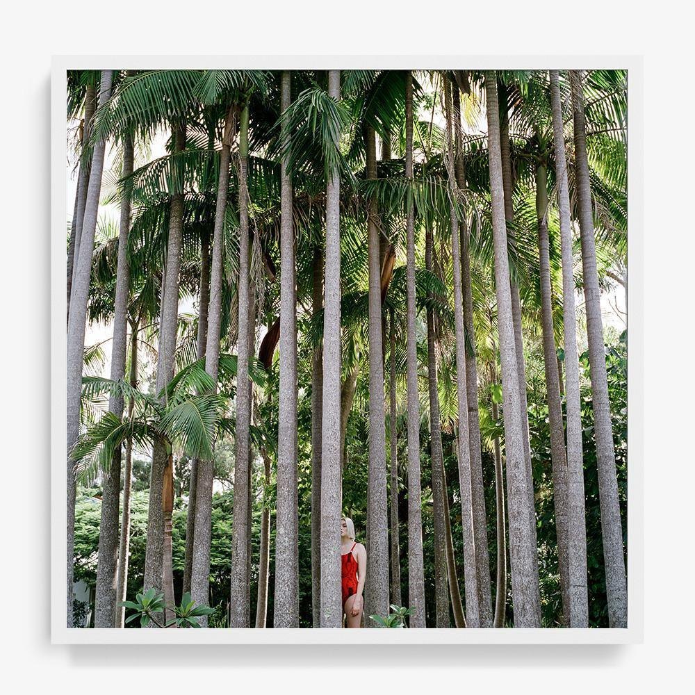 Sois Belle 2.65 - Image 7