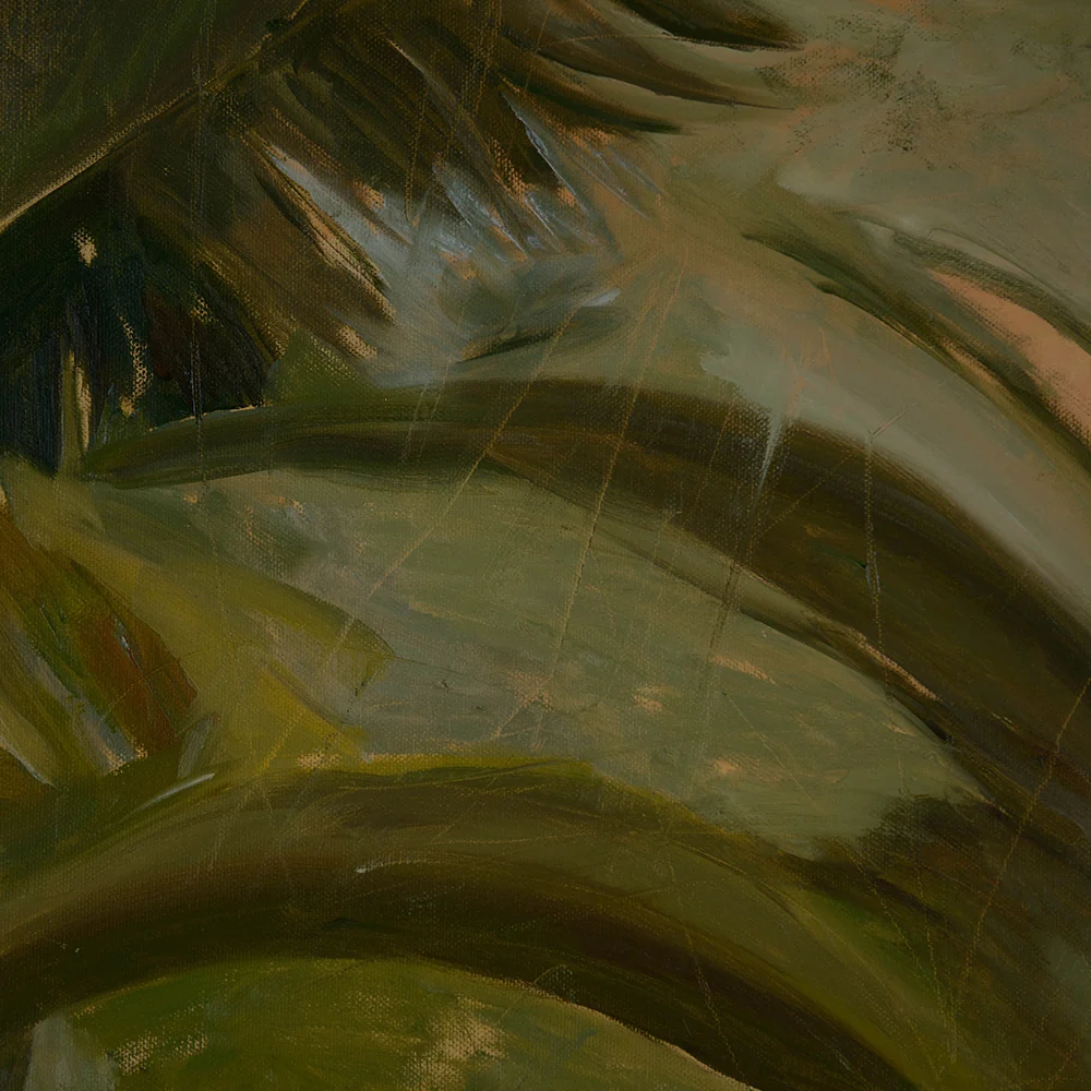 Sol Na Mata - Image 5