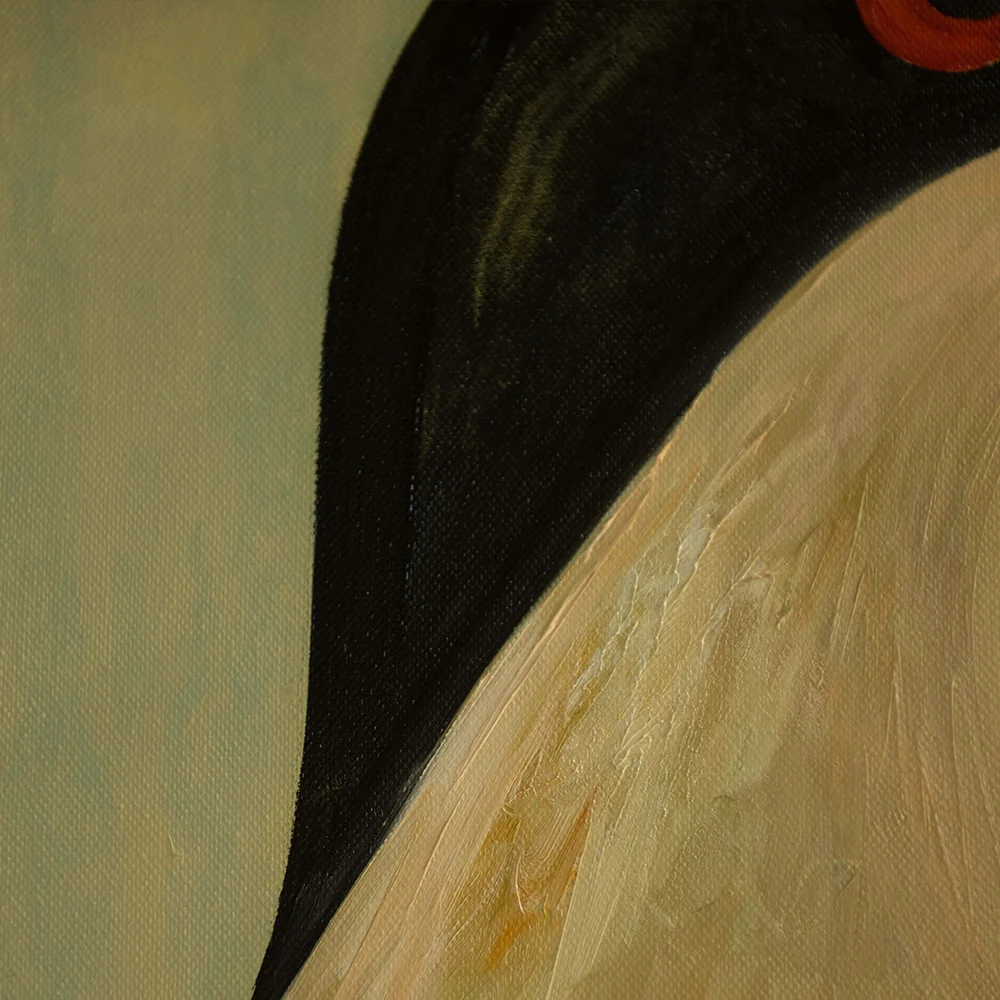 Sossego - Image 3