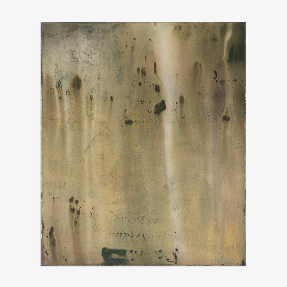 Spreading Like Rust or Lichen - Image 6