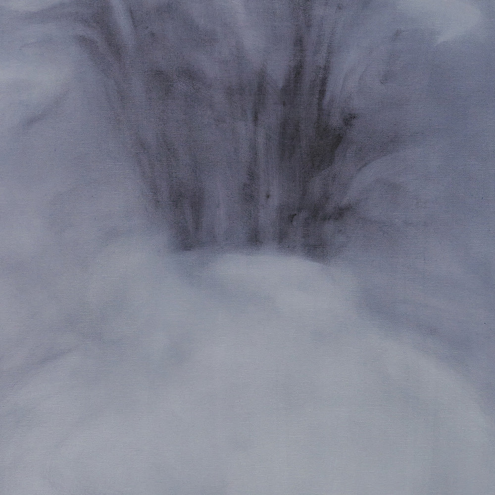 Still Life XXVII - Image 3
