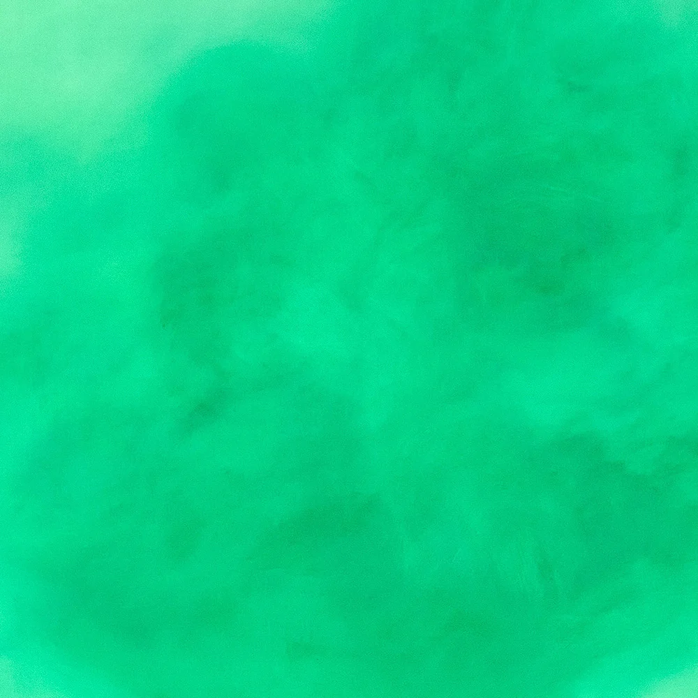 Still Life XXXIII - Image 3