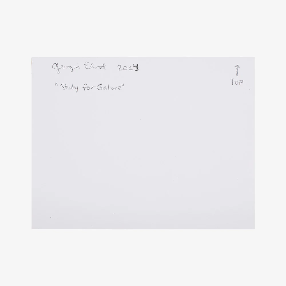 Study for Galore - Image 5