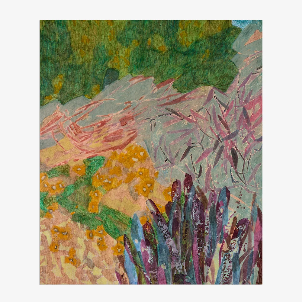 The Bromeliads Are Majestic ; Enlivened by the Drunken greens - Image 5