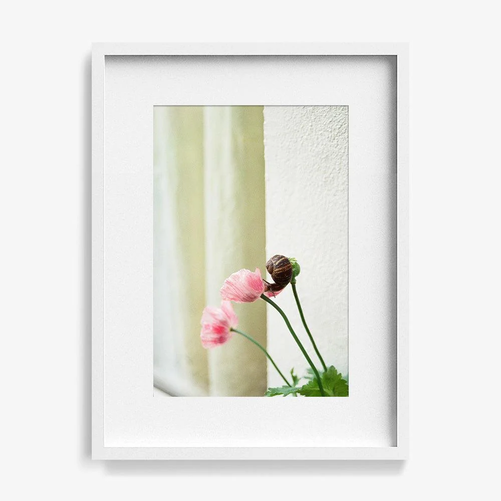 Elegance - Image 6